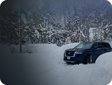 Winter-Ready All-Weather Fleet